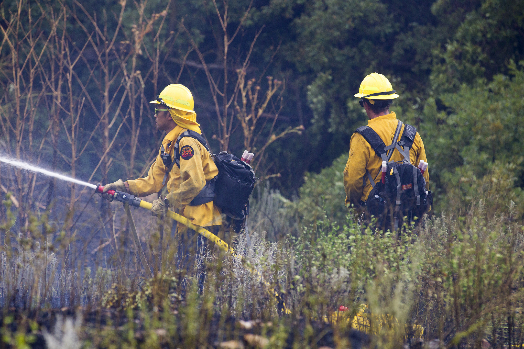 Becoming a Wildland Firefighter | Unified Fire Authority