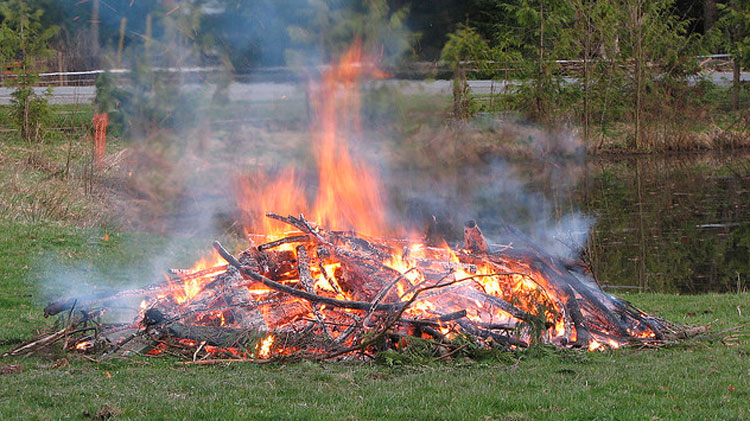 burning grass clippings