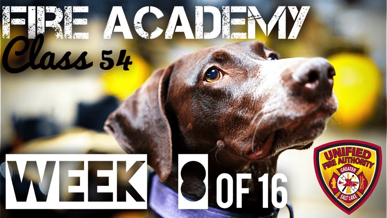 fire academy class 54 week 8 of 16